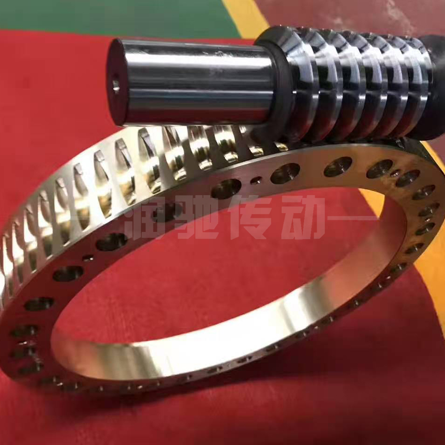 精密雙導程蝸輪蝸桿副